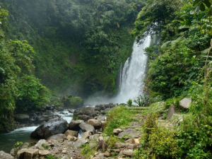 Menikmati Healing Bersama Keluarga di Wilayah Banyumas